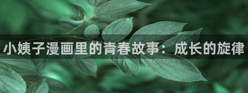 行业资讯